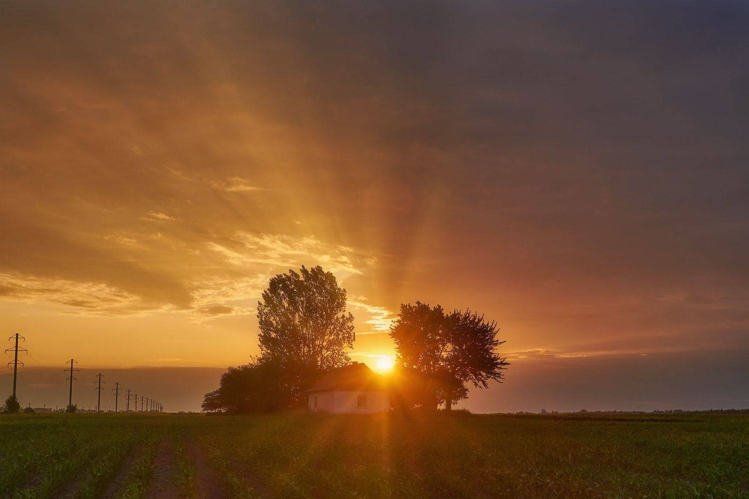 #landscape #nature #scenery #forest #wood #autumn #mist #misty #fog #foggy #river #waterfall #longexposure #mountain #vitosha #bulgari #aтуман #лес #oсень, Леонид Морозов