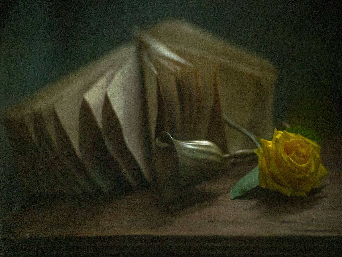 #haruhisa, Татьяна Аверина