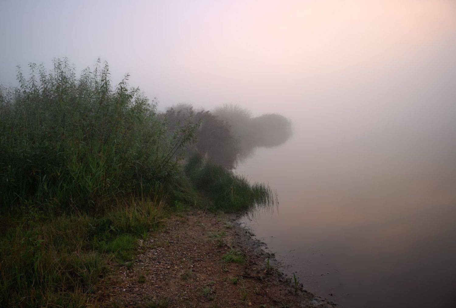 лето, рассвет, туман, река,, Сергей Шабуневич