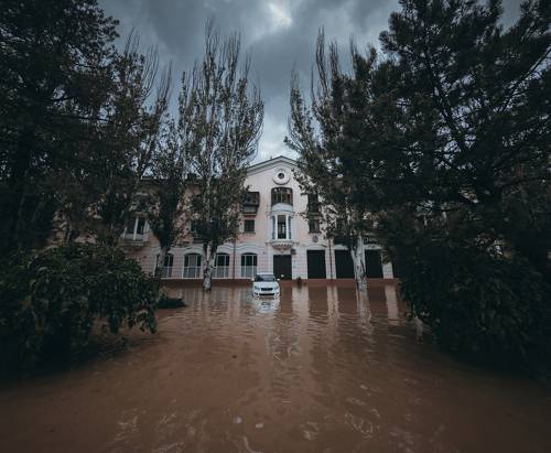 ХРОНИКИ СТИХИЙНОГО БЕДСТВИЯ.