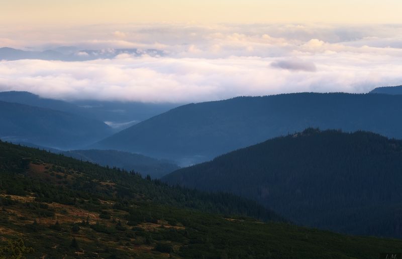 осень, карпаты, пейзаж, путешествие, туман, утро, вечер, горы, облака, панорама, mist, morning, autumn, landscape, carpathians, ukraine, chornogora, mountains, fog, misty, colors, fall Осенние этюды Карпат фото превью