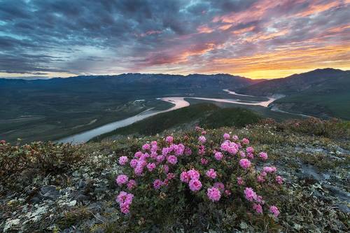 Саган Дайля на Индигирке