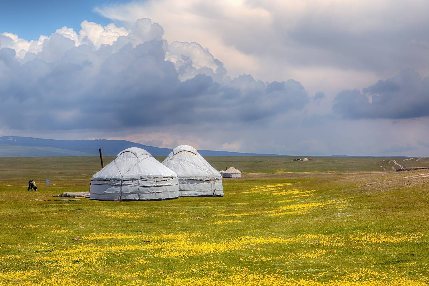 кыргызстан, горы, сон-куль, Элина Магалимова