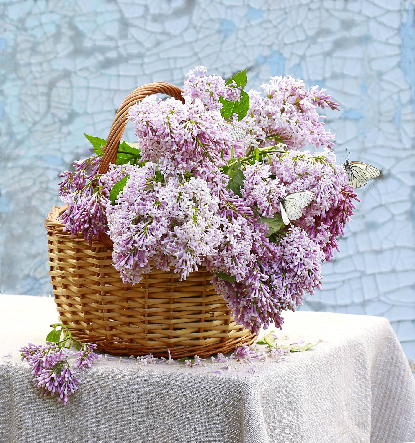 , Наталья Казанцева