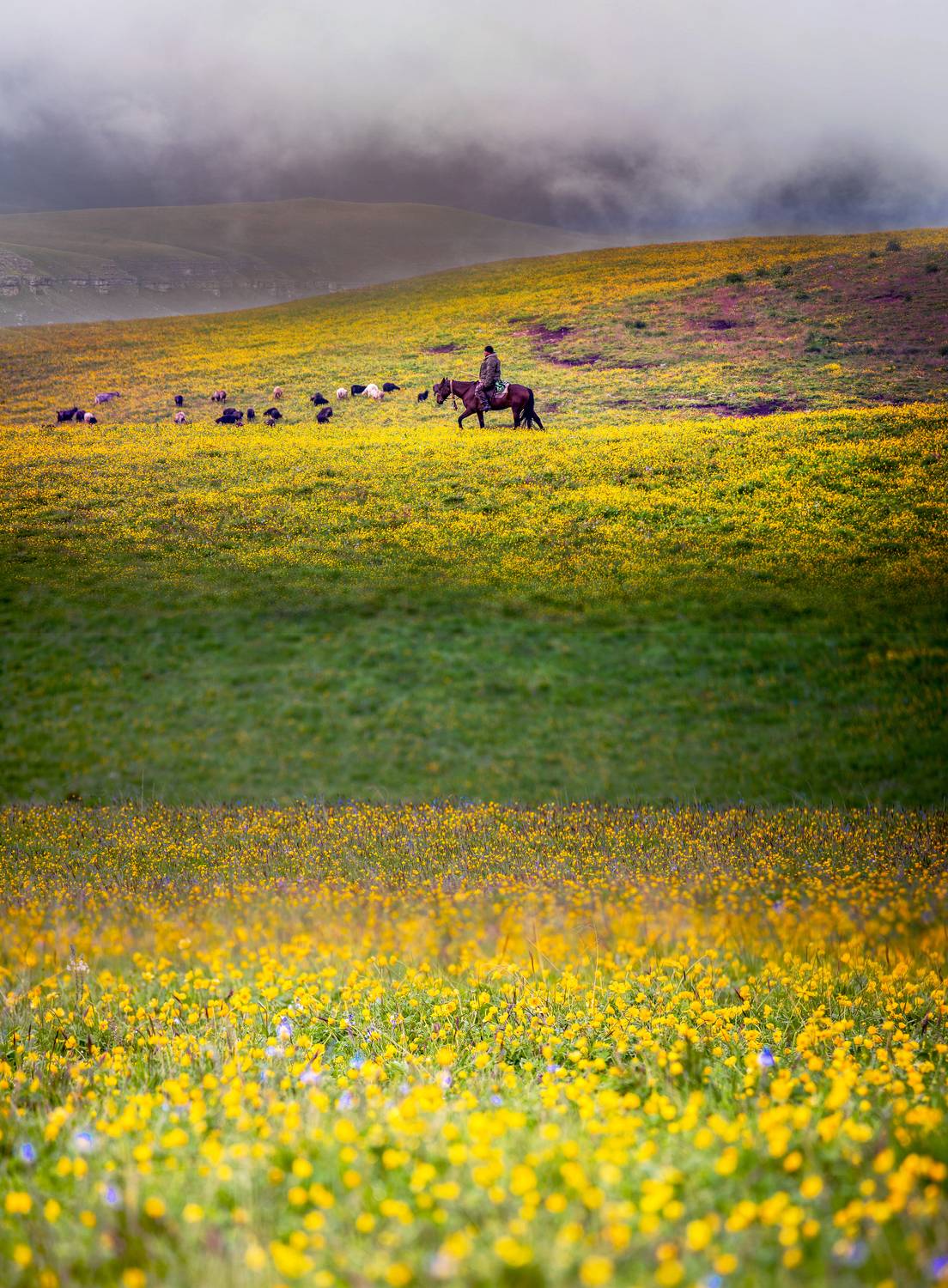 , Эдуард Гордеев