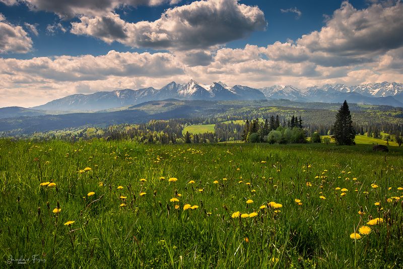 Sielsko na Podhalu фото превью