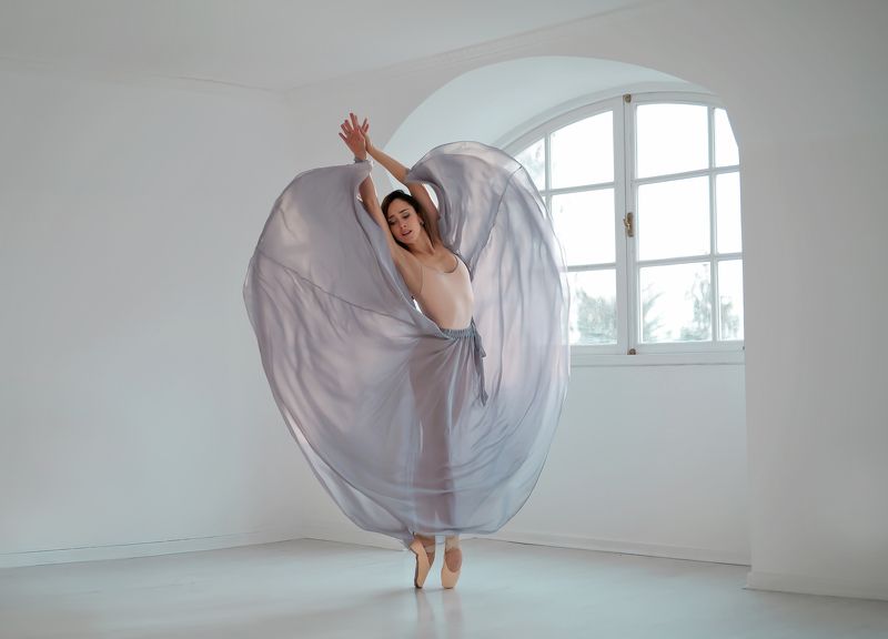 Butterfly  фото превью