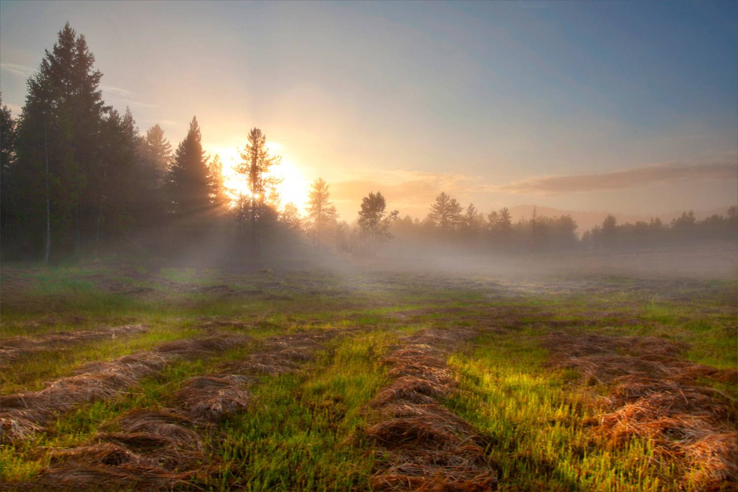 , Александр Гусаков