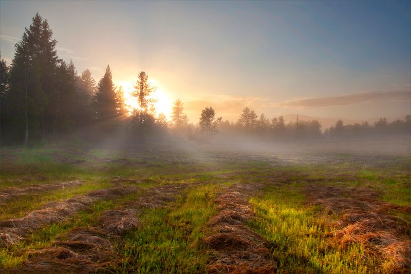 Вдохновение раннего утра фото превью