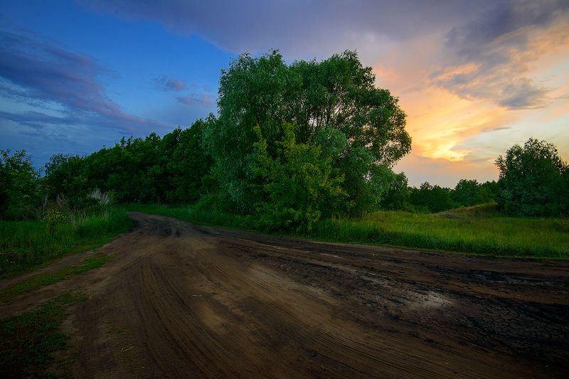 Лето, вечер, дорога Дорога домой... фото превью