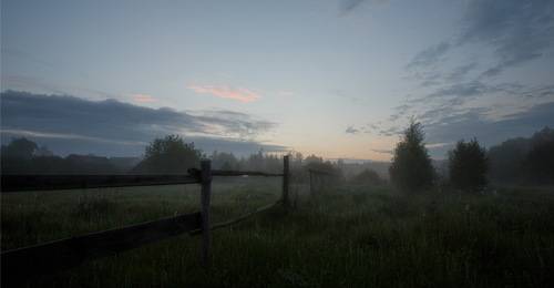 Сельцы, околица 2021