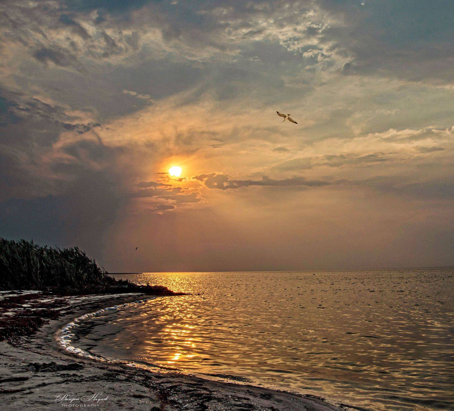 азов, закат, вечер, июнь, небо, облака, чайка, Валерий Наумов