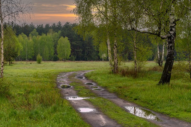 после дождика фото превью