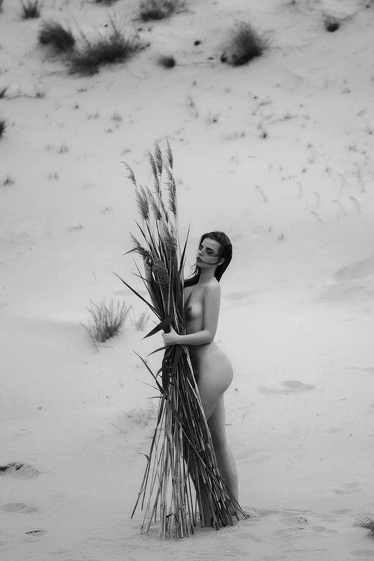 Nida фото превью