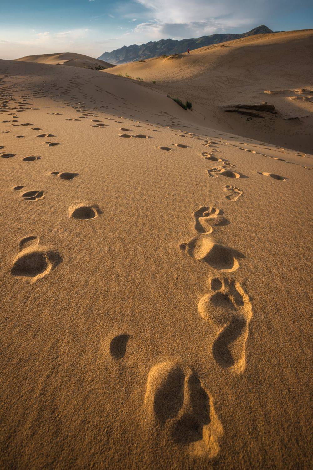 Дагестан, Алексей Мараховец