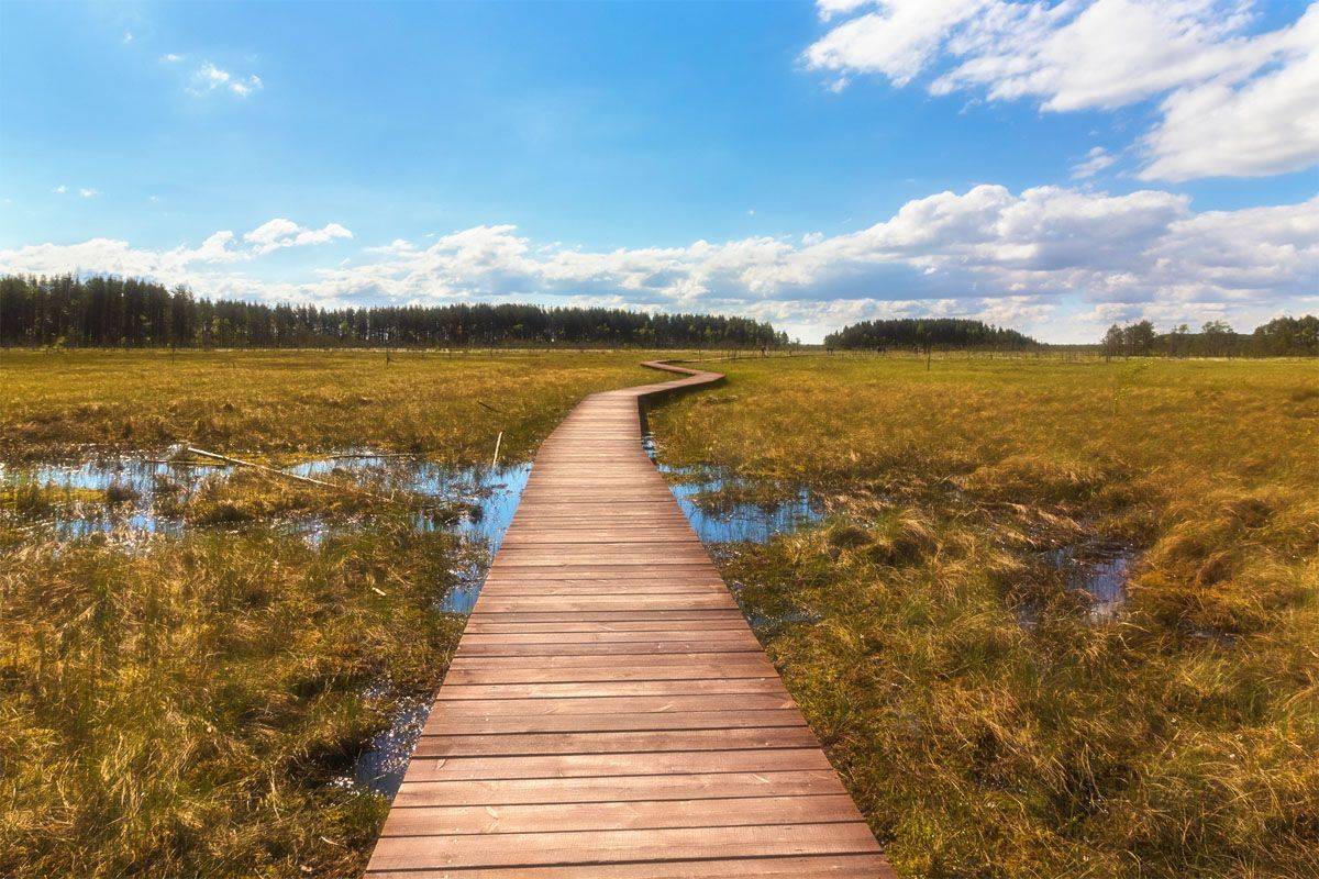 , Алексей Герасимов