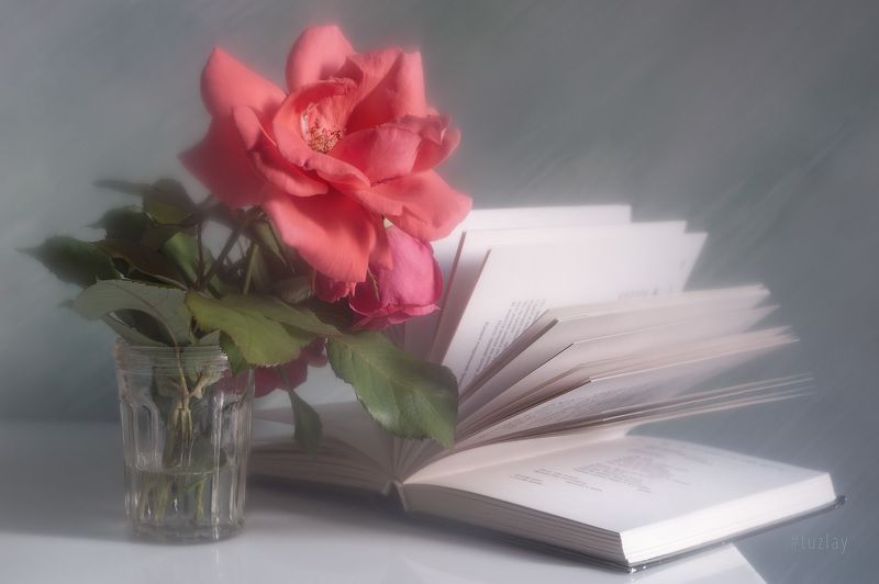 розы, книги, книга Продолжая книжно-розочную тему... фото превью