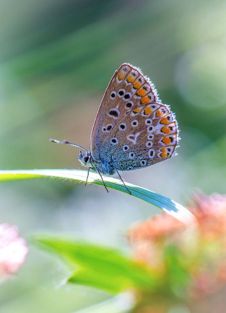 , Игорь Кляхин