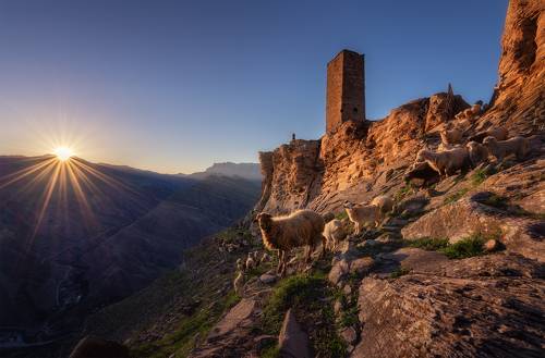 Сторожевые башни высокогорного села Гоор