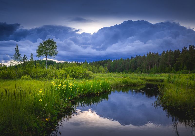 фото превью