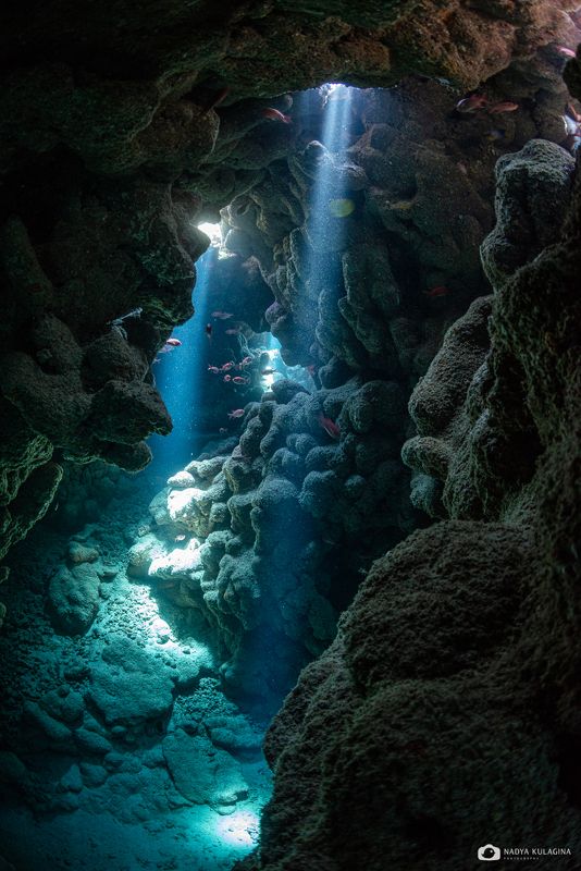 underwater, cavern, cave, diving, underwater photography, landscape, mystic, water, fish, rock Hidden Secrets фото превью