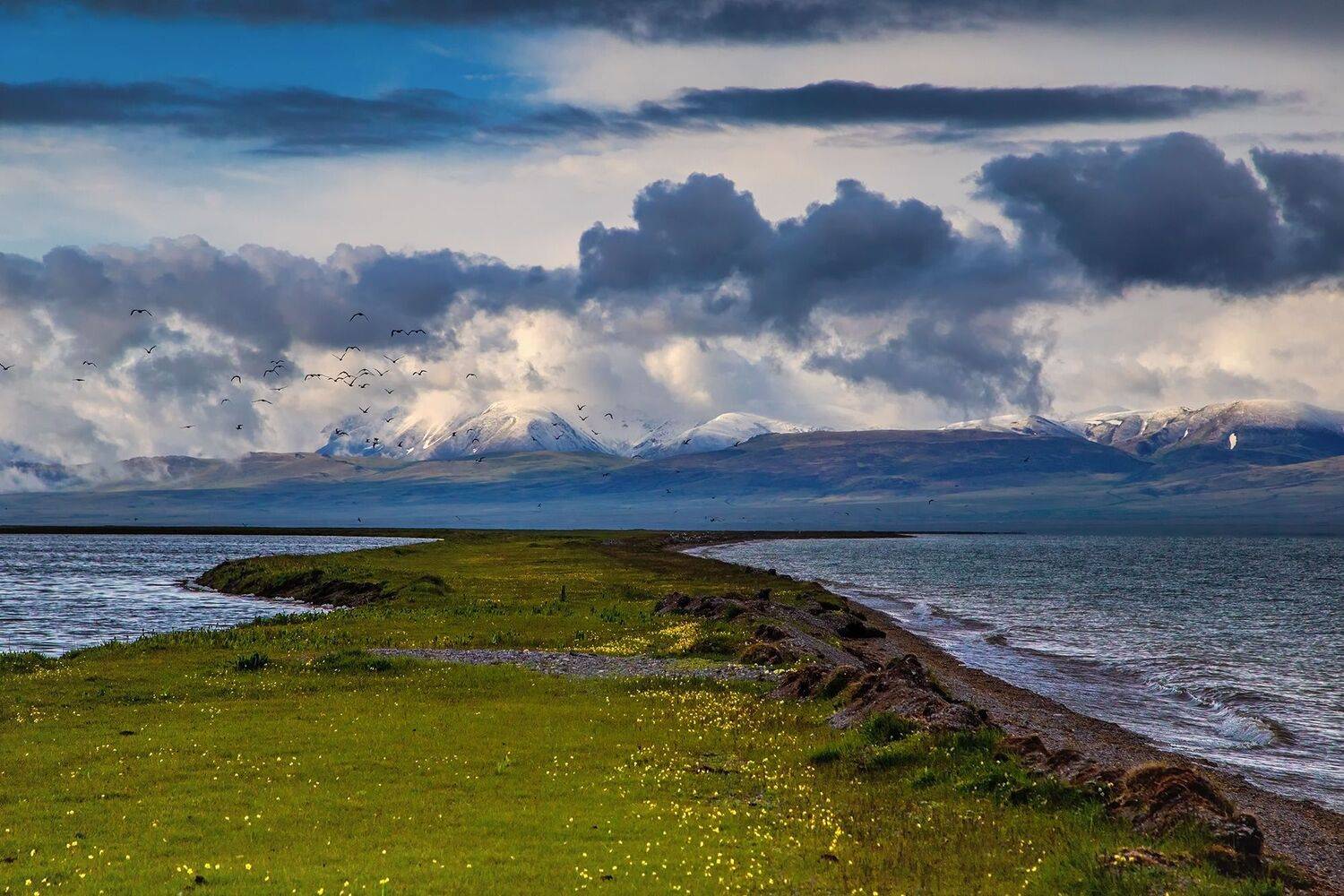 кыргызстан, горы, сон-куль, Элина Магалимова