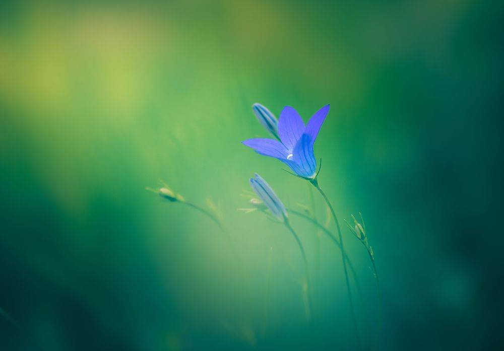 , Игорь Кляхин