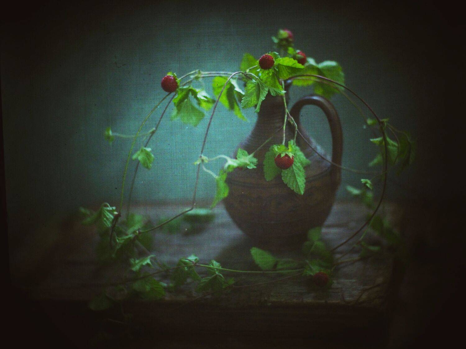 #haruhisa, Татьяна Аверина