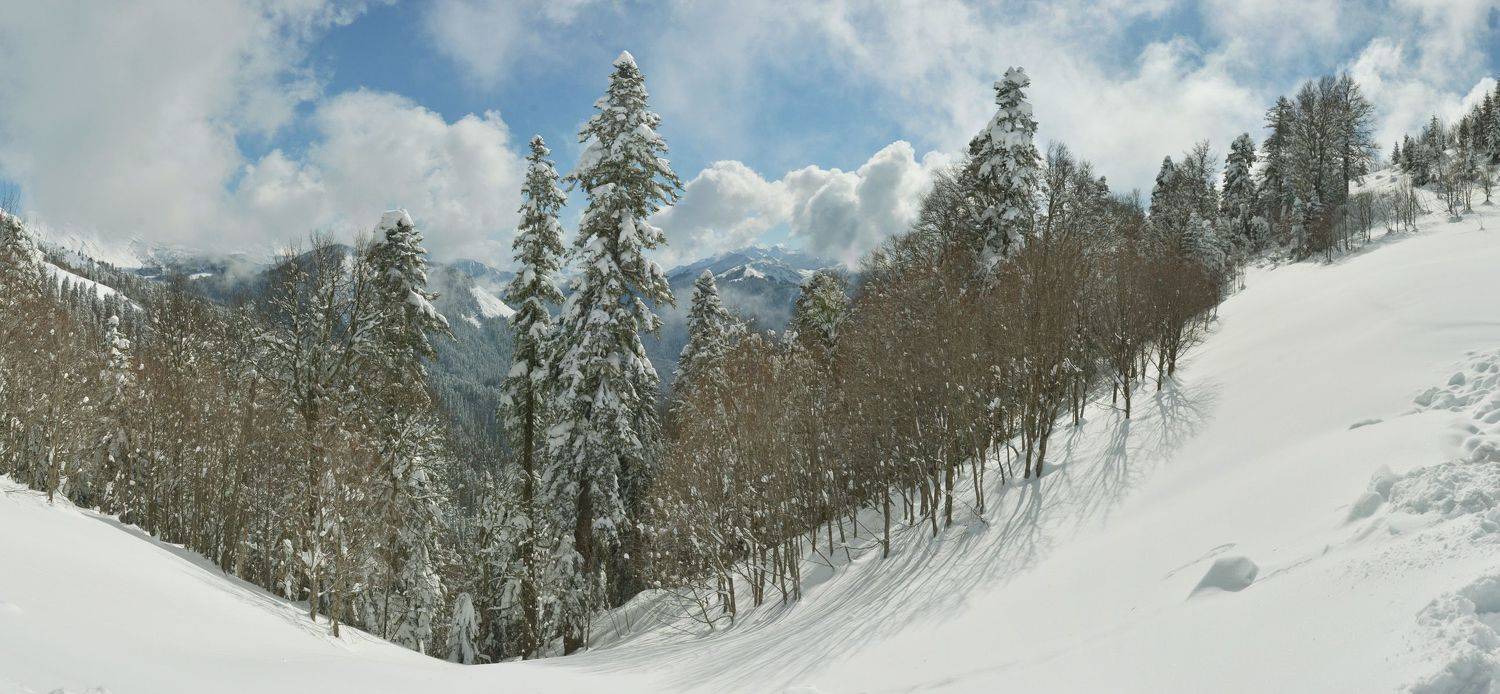красная поляна, Сергей Седов