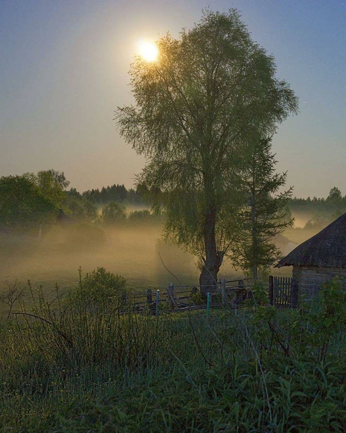 полнолуние, туман, деревня, Петр Косых