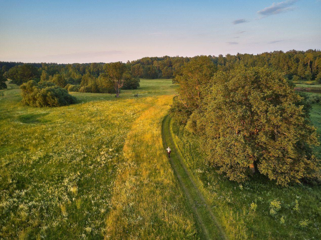 беларусь, вечер, дубрава, июнь, лето, луга, поля, свислочь, Вейзе Максим
