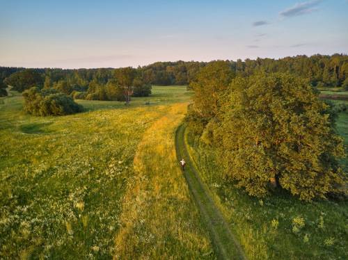 Вечер на летнем луге