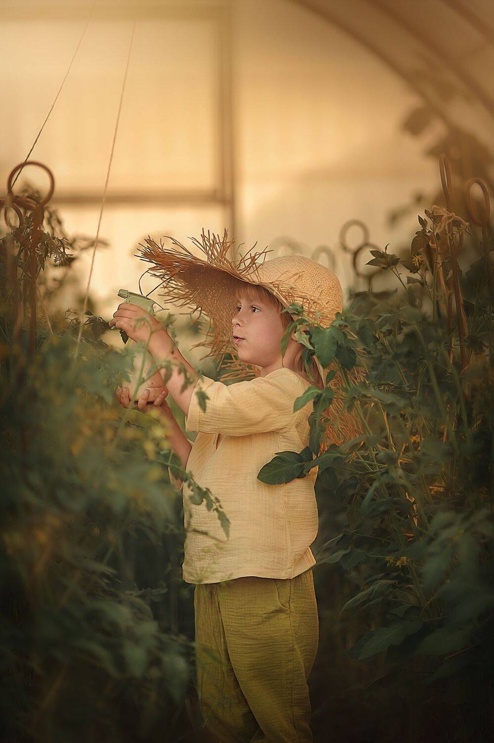 , Ксения Лысенкова