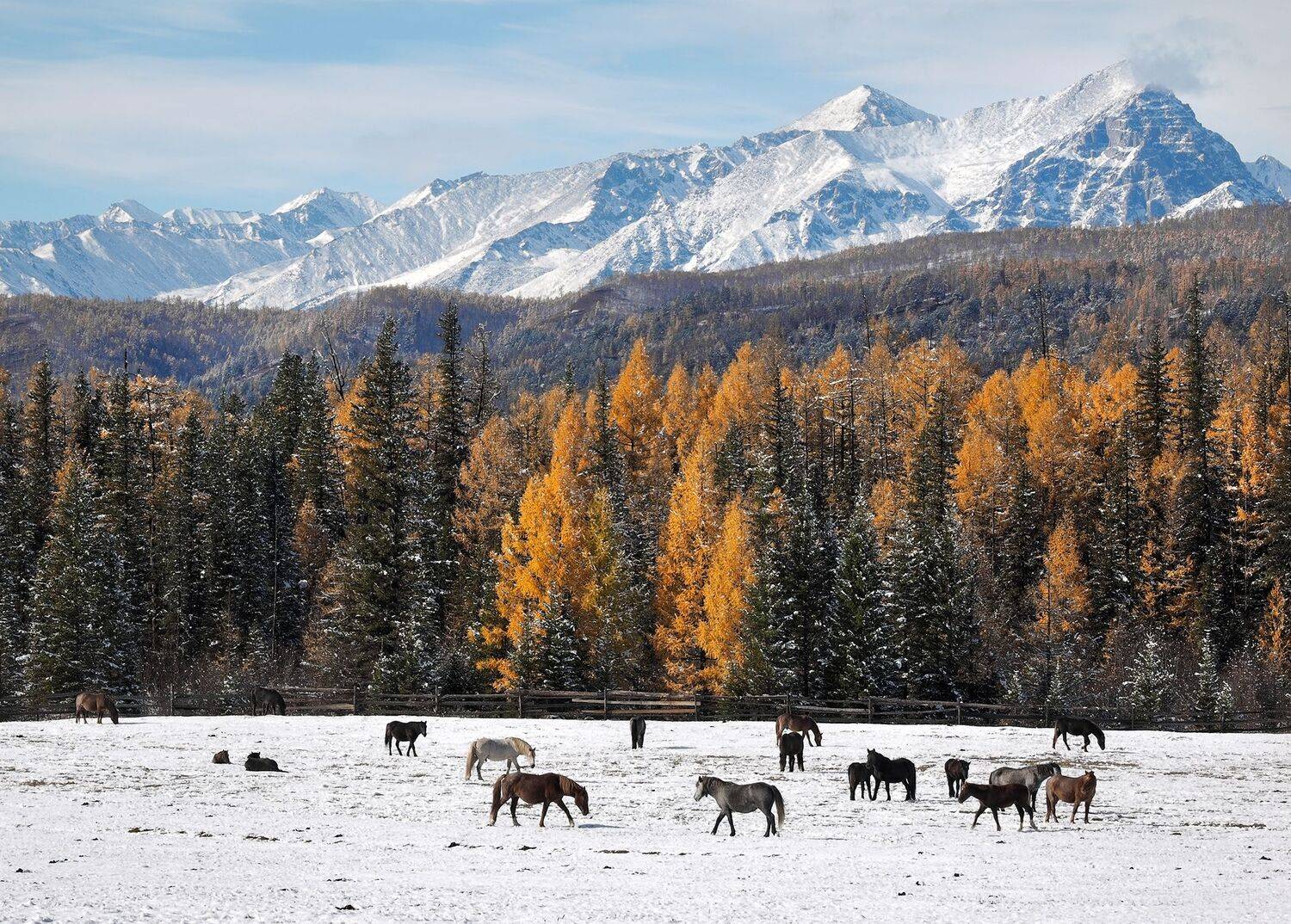 , Александр Попов