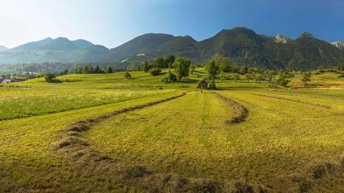 Предгорья Альп. Жизнь в деревне. Словения.
