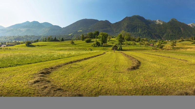 словения, трава, сено, поле, горы, альпы, домик, Предгорья Альп. Жизнь в деревне. Словения. фото превью