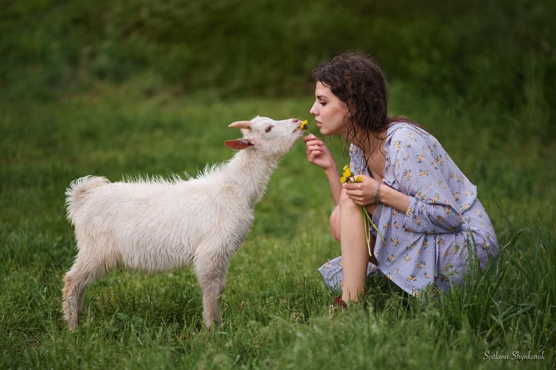 beauty, summer, emotion, portrait, animal, raining Bon appetit фото превью