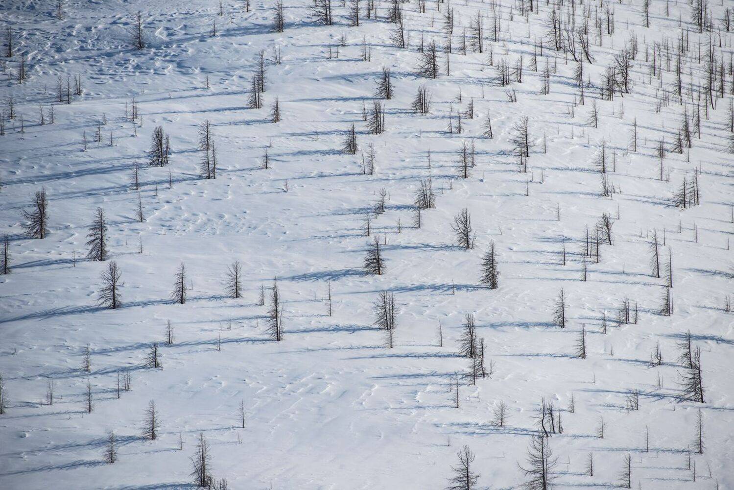 Тыва Тува Тоджа Тожа, Кутыгин Эдуард