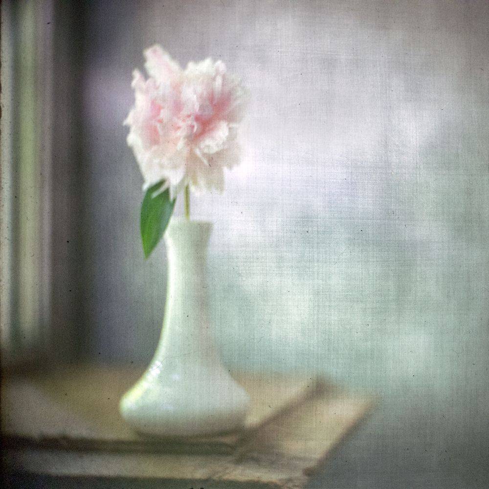 #haruhisa, Татьяна Аверина