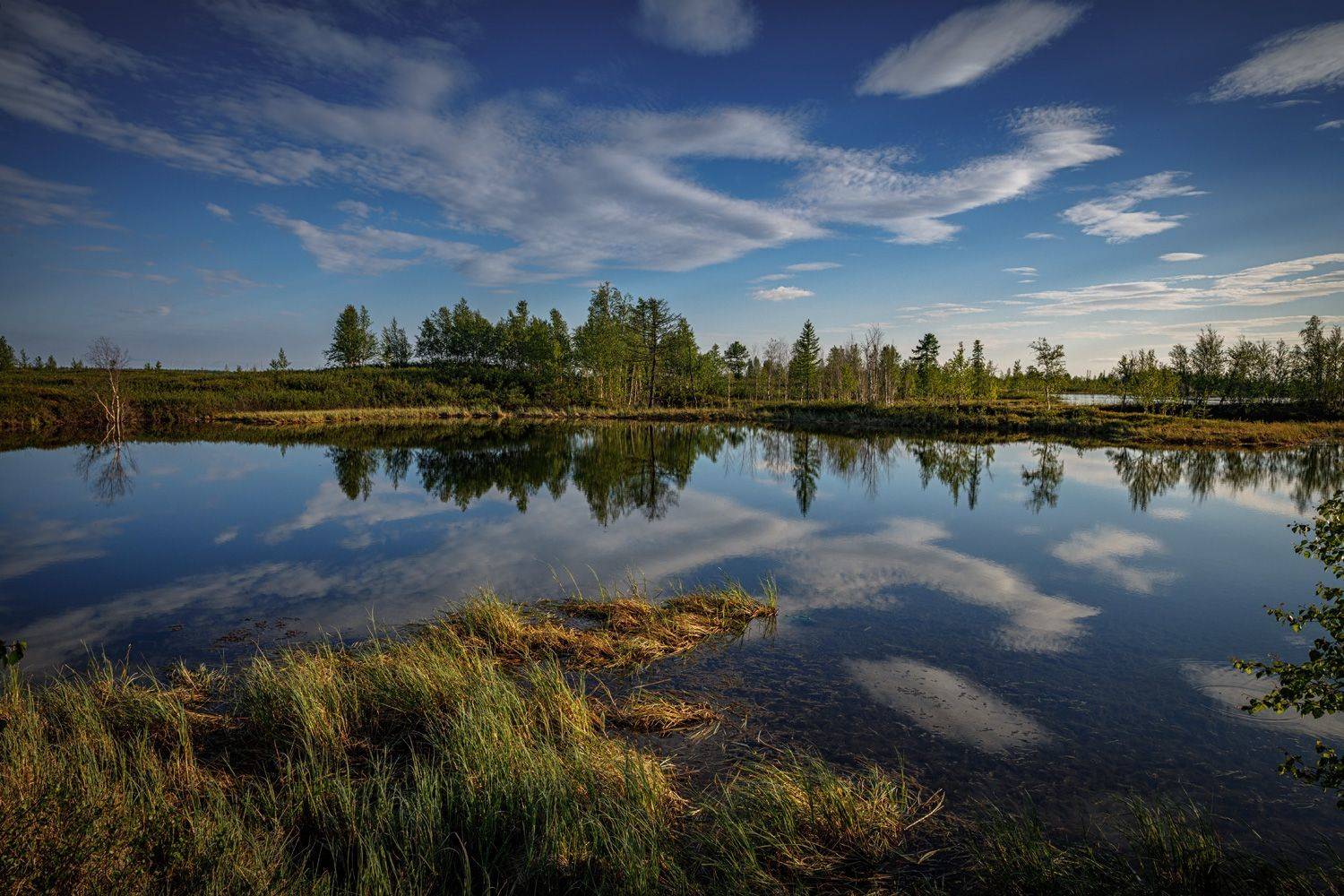 , Евгений Кужилев