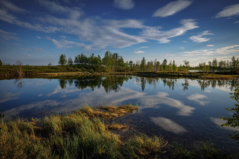 * * * фото превью