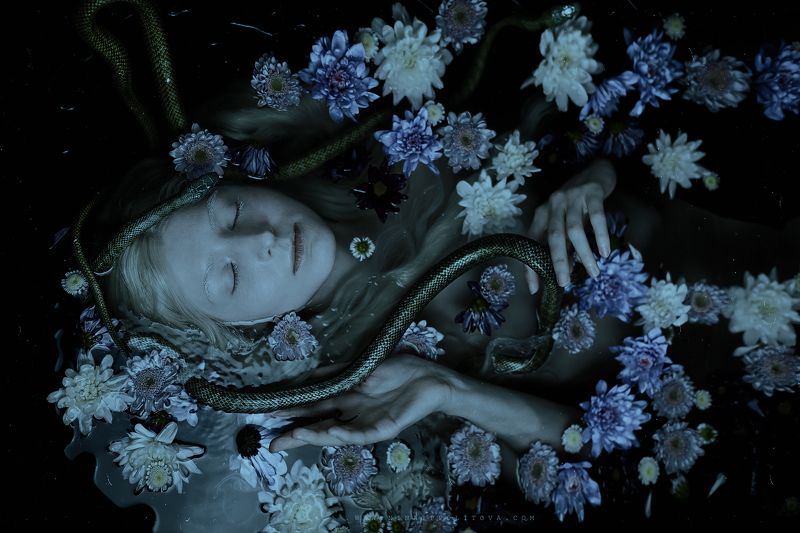 dark, canon, art, snake, horror Ч е рн ы е   в о д ы   фото превью