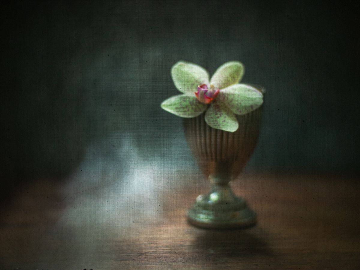 #haruhisa, Татьяна Аверина