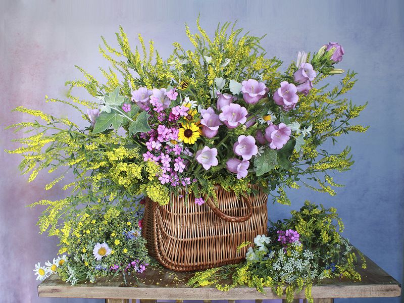 Розовый перезвон июня . фото превью