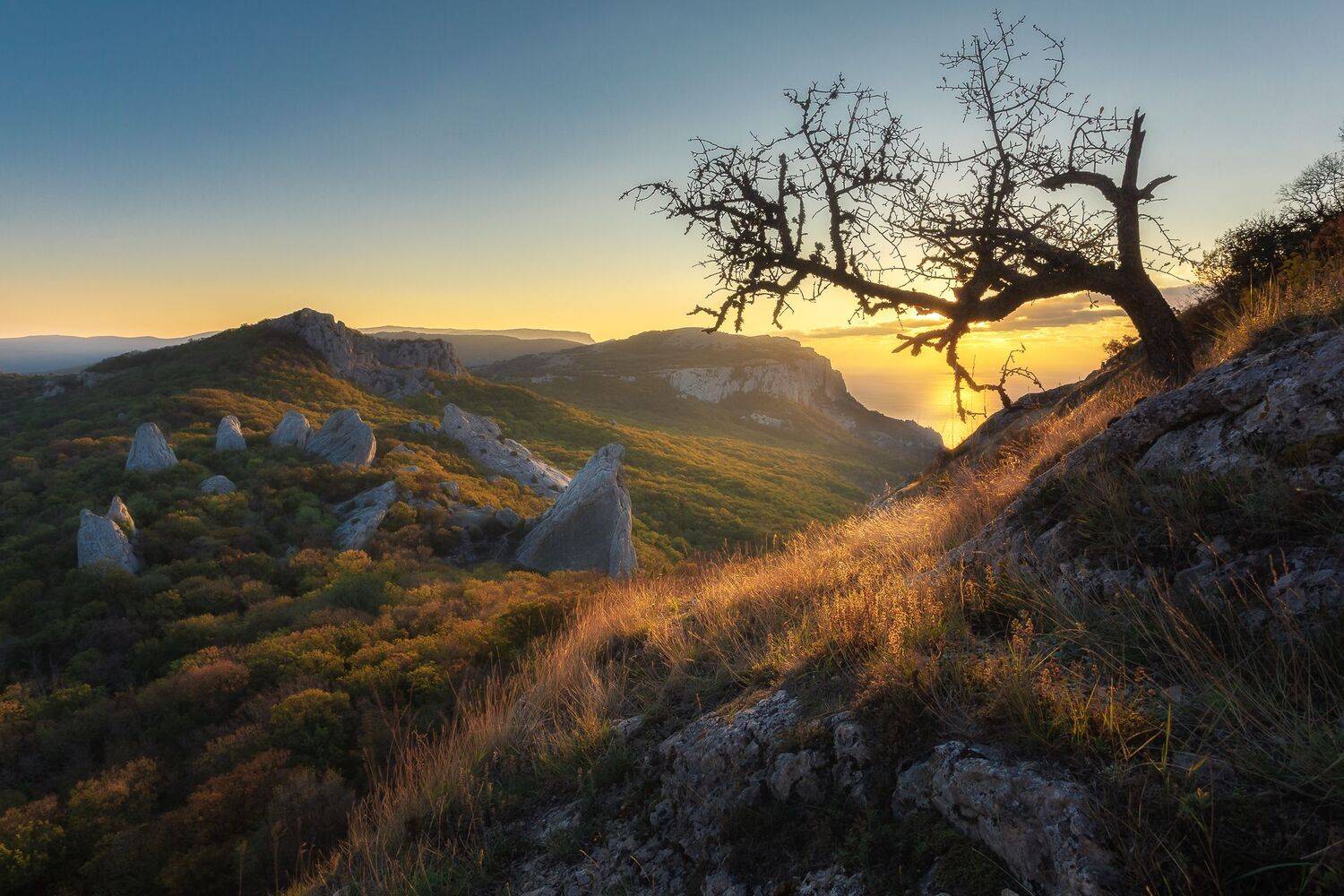 , Александр Писарев
