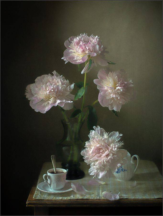 , Stein Georg