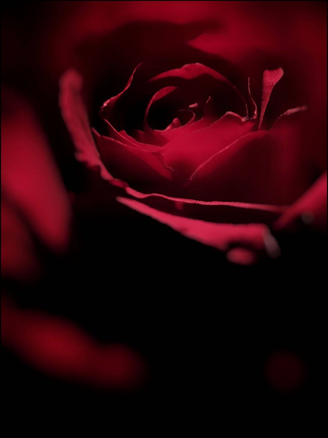 , Алёна Герасимова