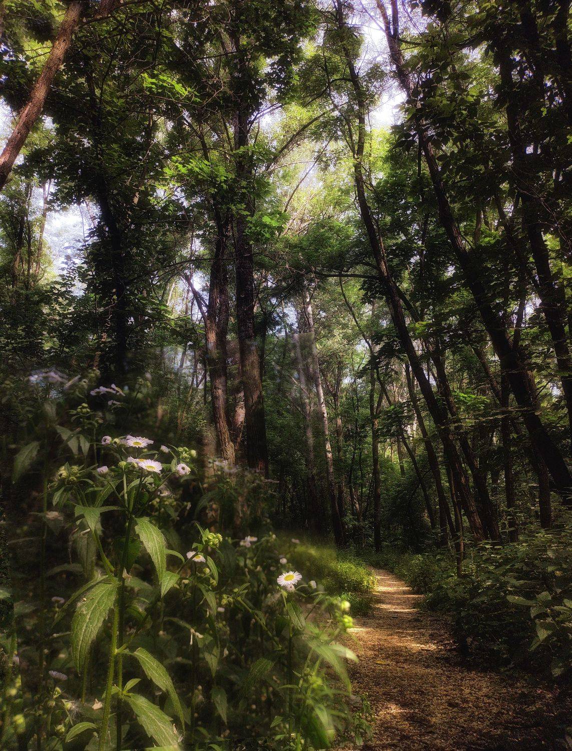 ,  Александр