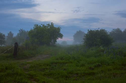 Вечерний туман