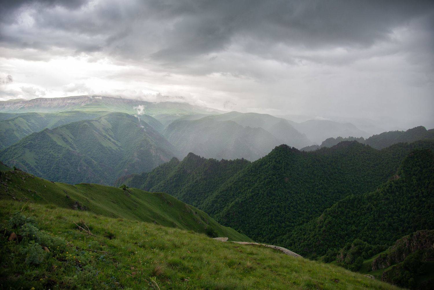 , Роман Князев